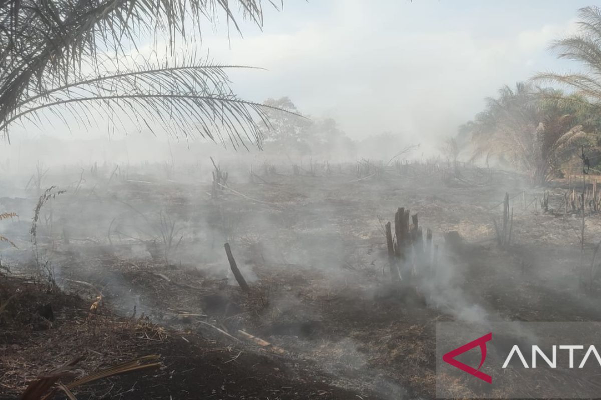 Polres Mukomuko selidiki kebakaran lahan gambut dekat RSUD