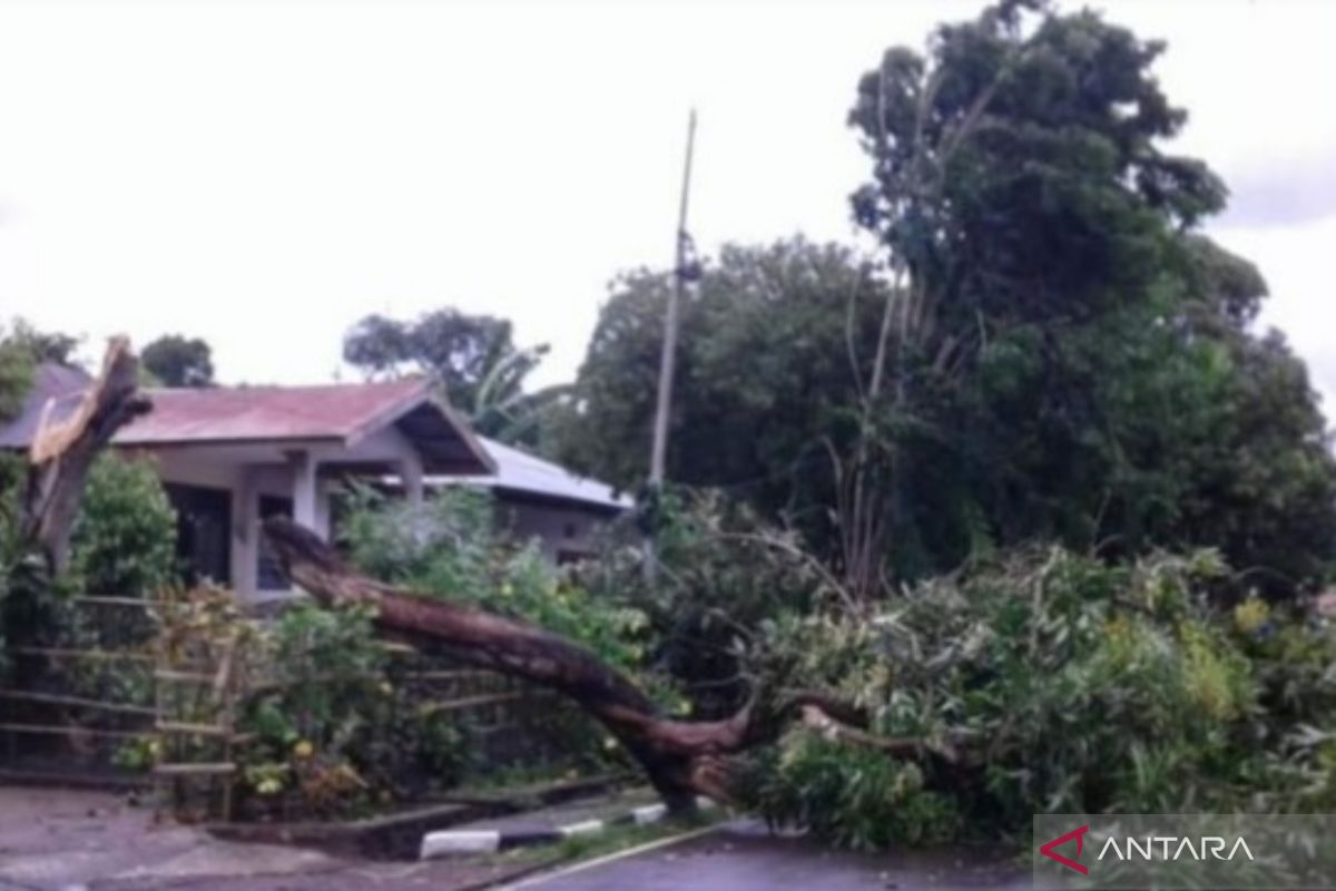 BMKG: Waspadai angin kencang di NTT dampak Siklon Tropis Anika