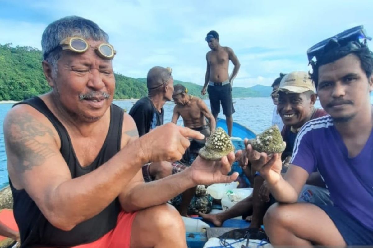 Tradisi Wurloor Hernar Nes E Yau di Kepulauan Kei Maluku Tenggara, cocok untuk traveller penyuka laut