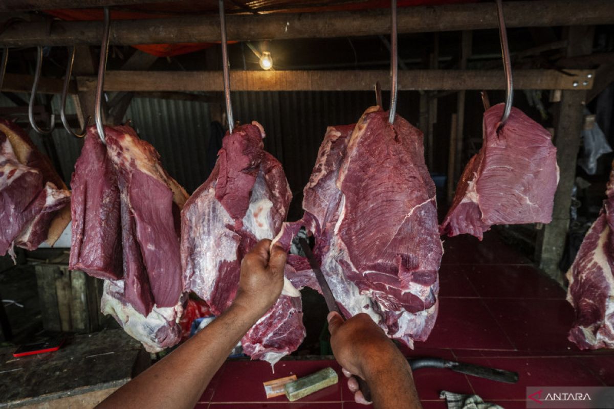 Pembenahan sistem logistik perdagangan daging penting jelang puasa