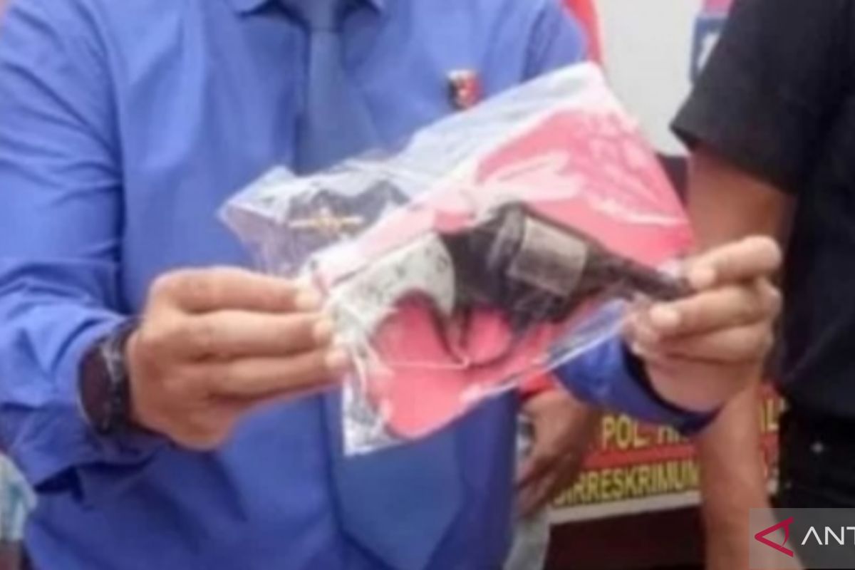 Polrestabes Palembang menyita 16 pucuk senjata api dari masyarakat