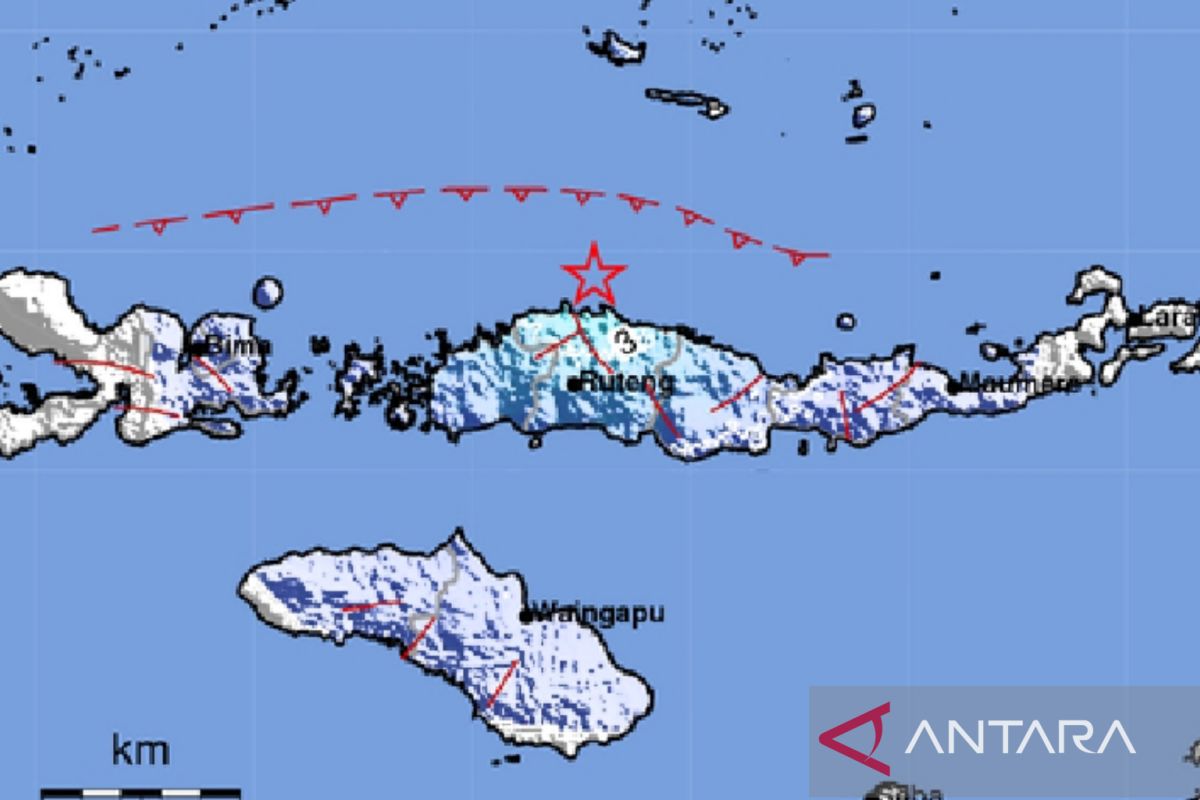 BMKG prakirakan gempa NTT berpotensi picu tsunami lebih dari 3 meter