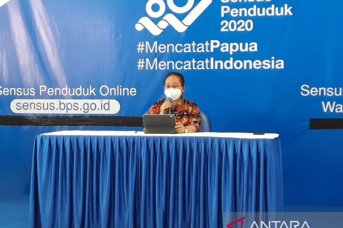 BPS sebut peningkatan kasus COVID berdampak pada arus penumpang di Papua