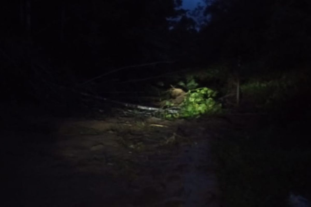 Akses lalu-lintas Simpang Empat-Talu masih  terputus akibat longsor