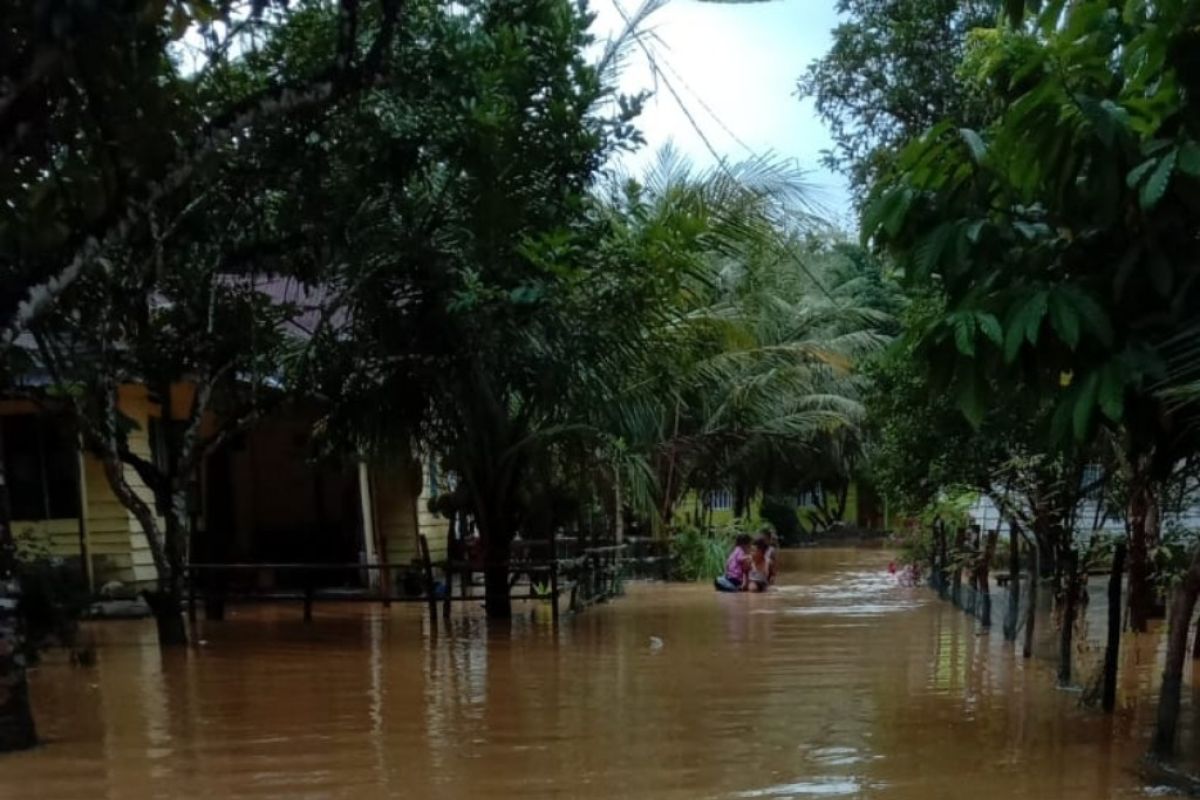 BPBD Langkat : Empat desa terdampak banjir