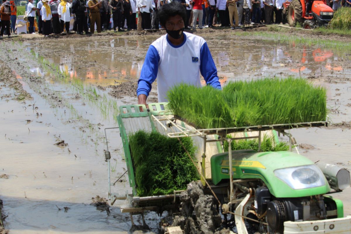 Pemprov Lampung: Mekanisasi pertanian solusi jaga stabilitas produksi