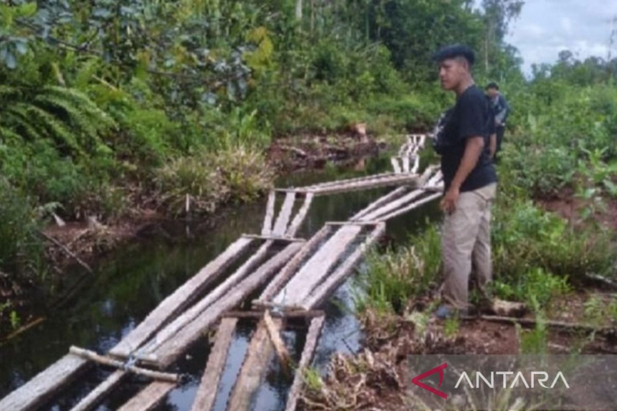 Polda Jambi menemukan pembalakan liar, amankan ratusan batang kayu