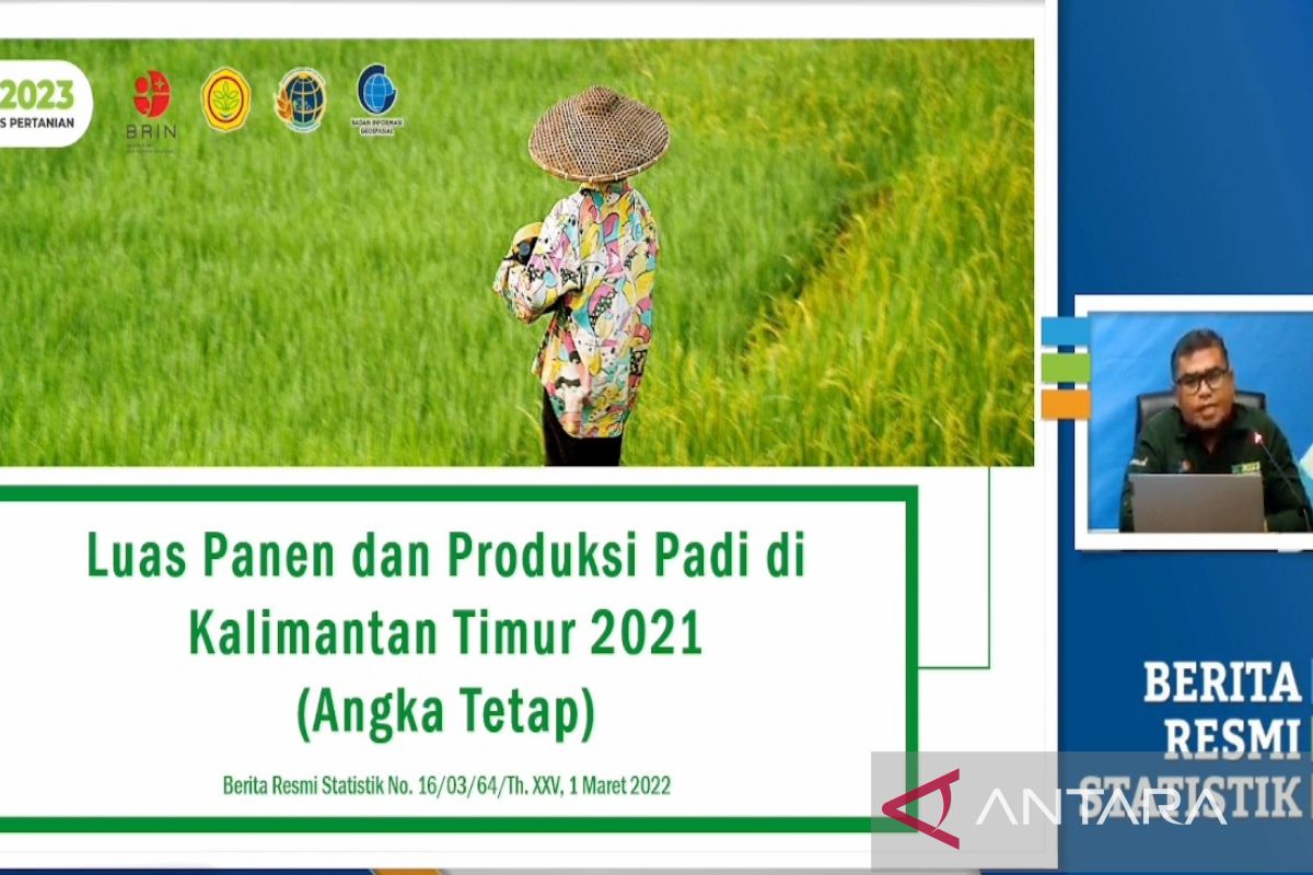 Produksi padi Kaltim tahun 2021 turun 6,77 persen