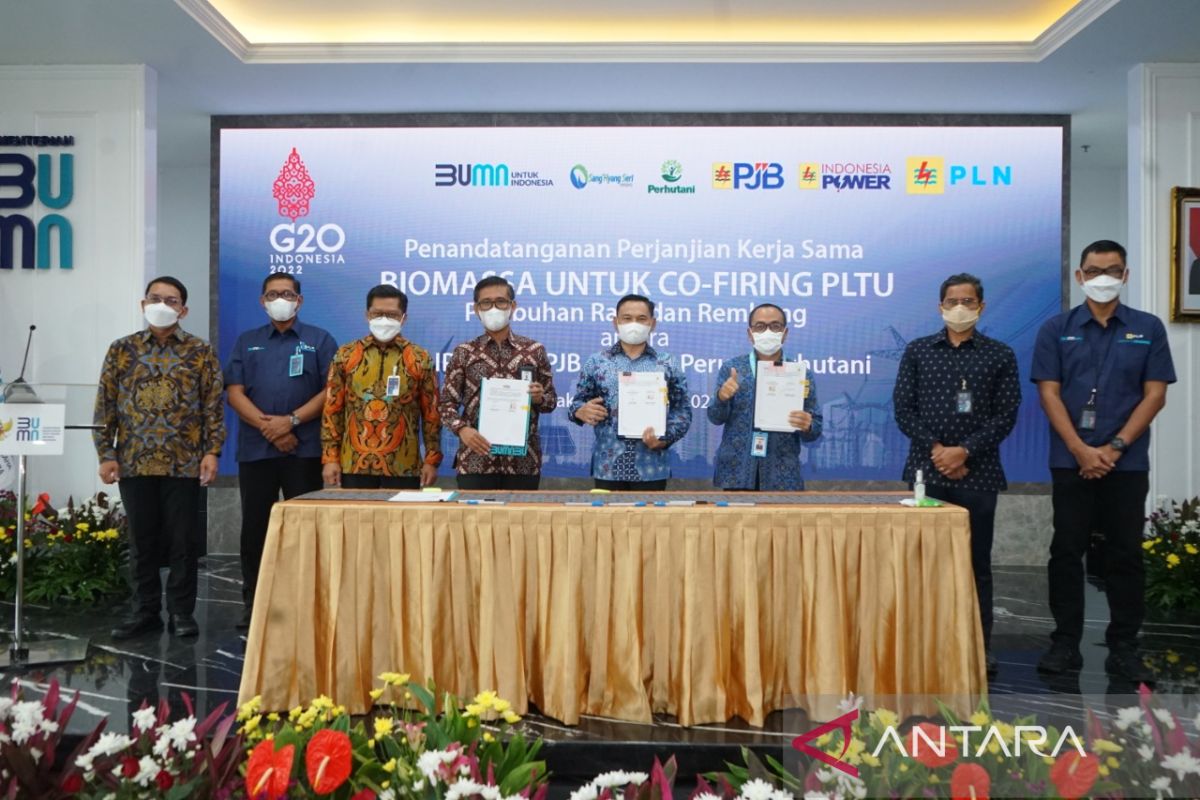 Kolaborasi tiga BUMN kembangkan produk biomassa untuk PLTU