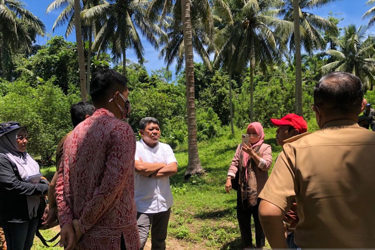 C Sulawesi to issue rules for food buffer zone