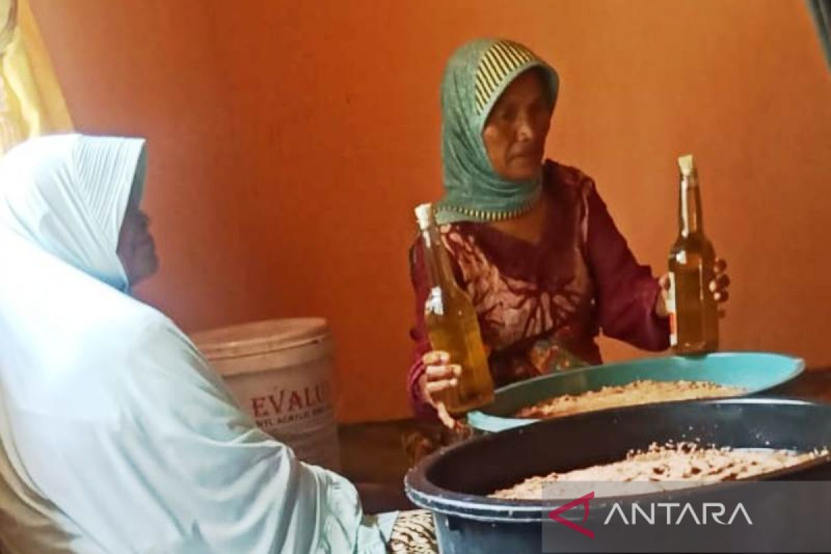 Kelompok perempuan di Aceh Barat produksi minyak goreng dari kelapa