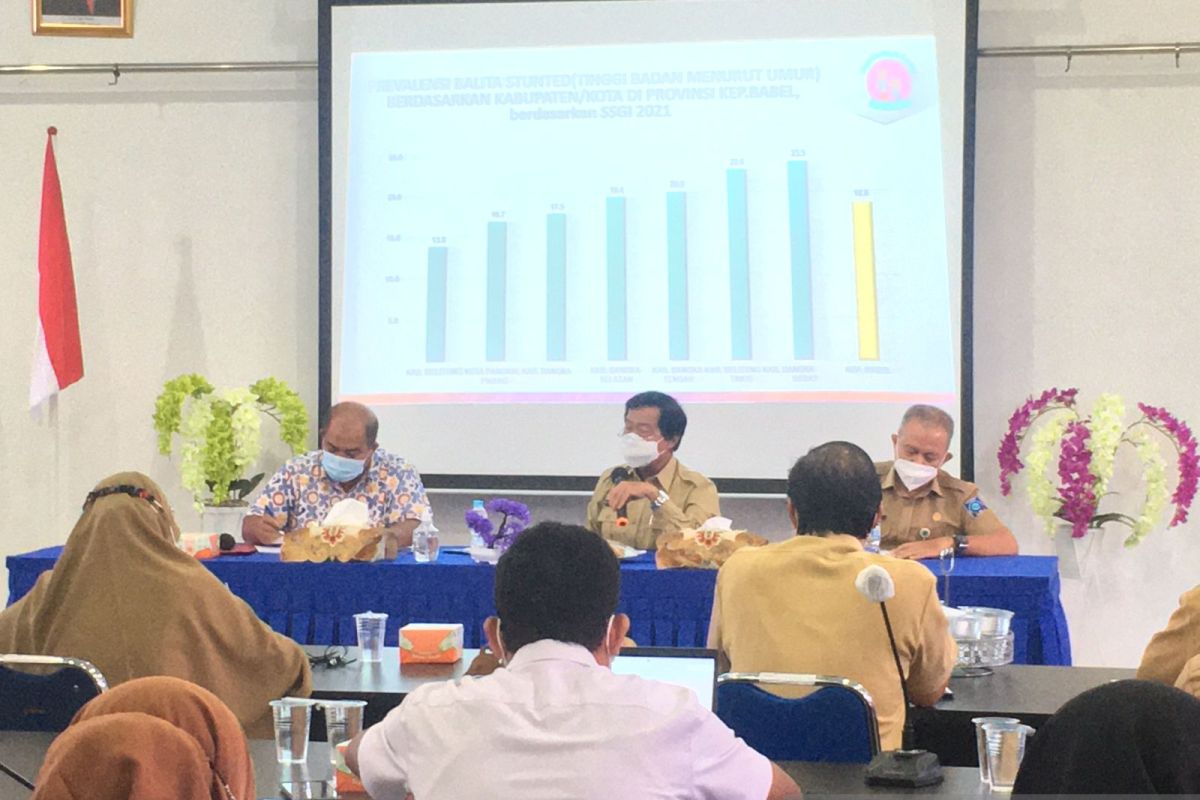 Bangka Belitung prepares action plan to reduce stunting