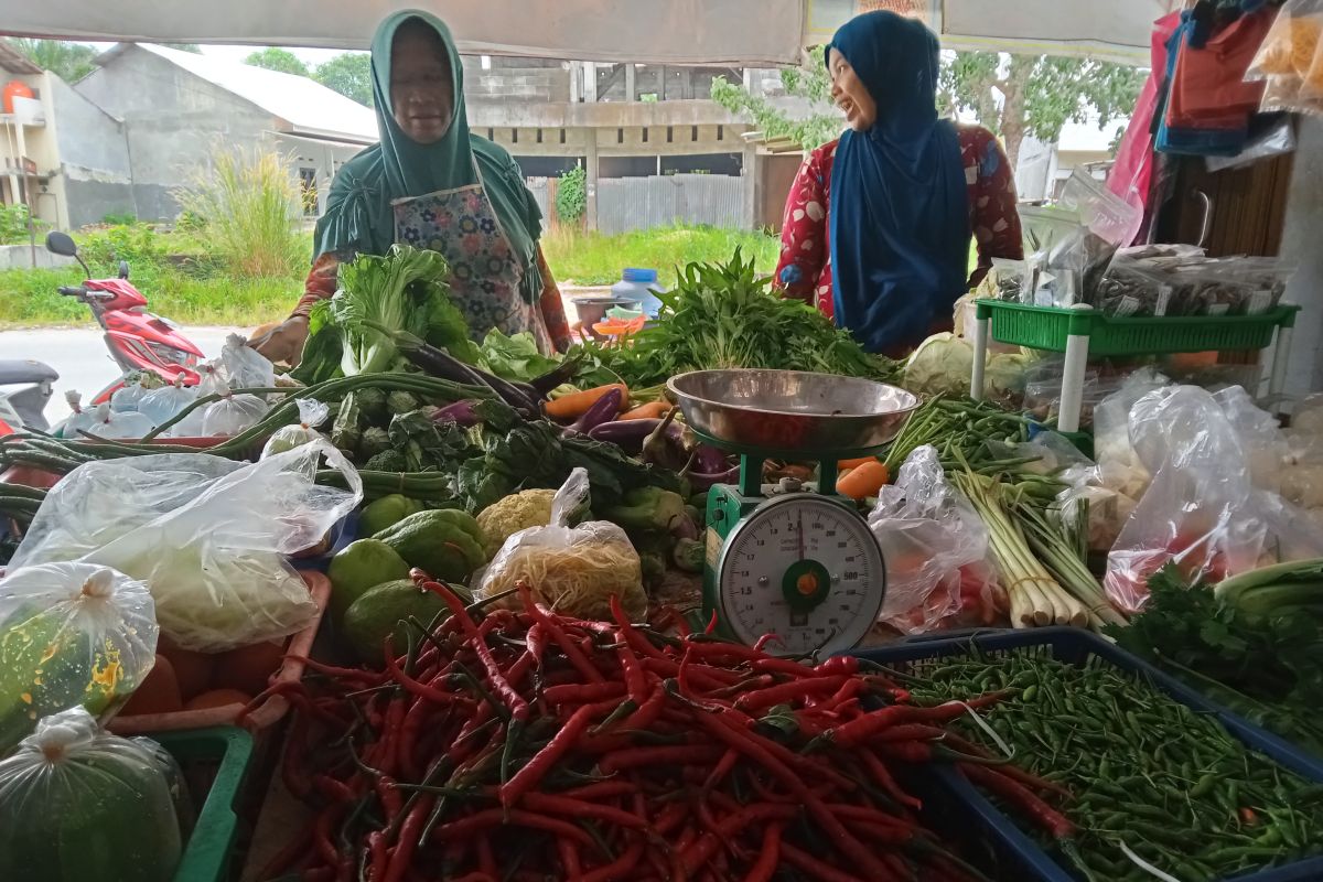 Ini strategi BI Riau atasi kenaikan harga bahan pokok