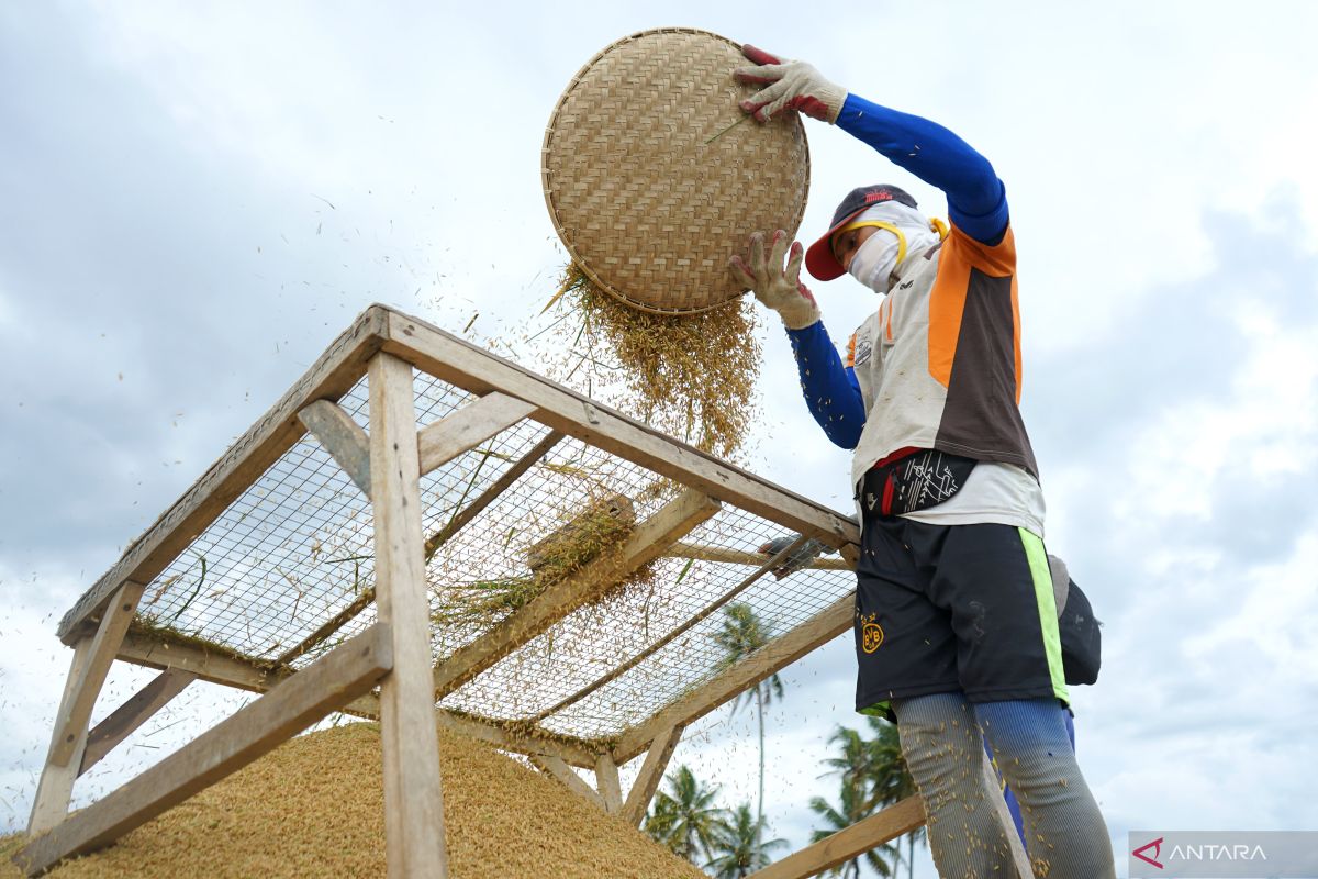 BPS: Nilai Tukar Petani Gorontalo bulan Februari naik 0,20