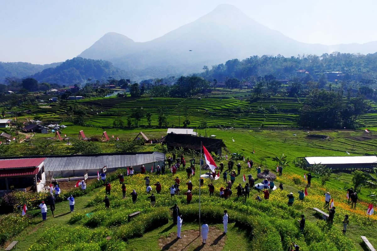 Petani Desa Penanggungan gelar upacara bendera di areal persawahan