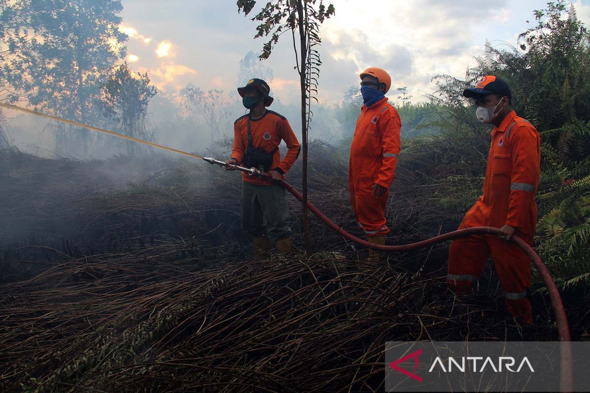 KLHK fokus kendalikan karhutla di daerah rawan