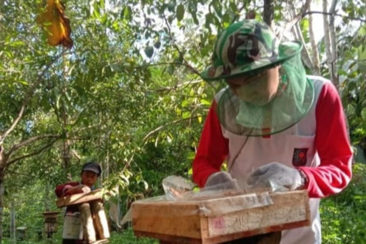 Gapoktan Petangis di Paser Budidaya ternak lebah