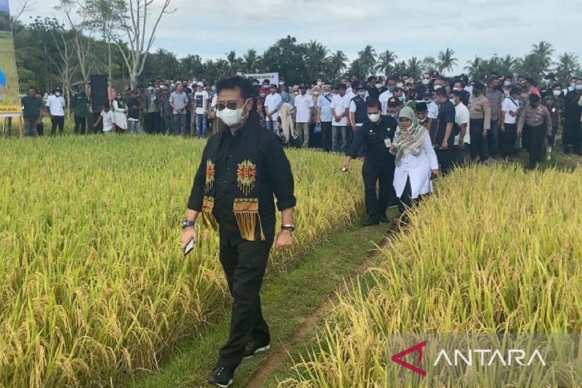 Mentan ingin petani padi di Aceh bisa panen empat kali setahun