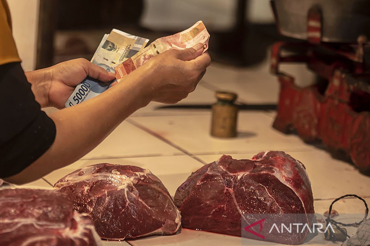 Pakar IPB ungkap penyebab kenaikan harga daging sapi