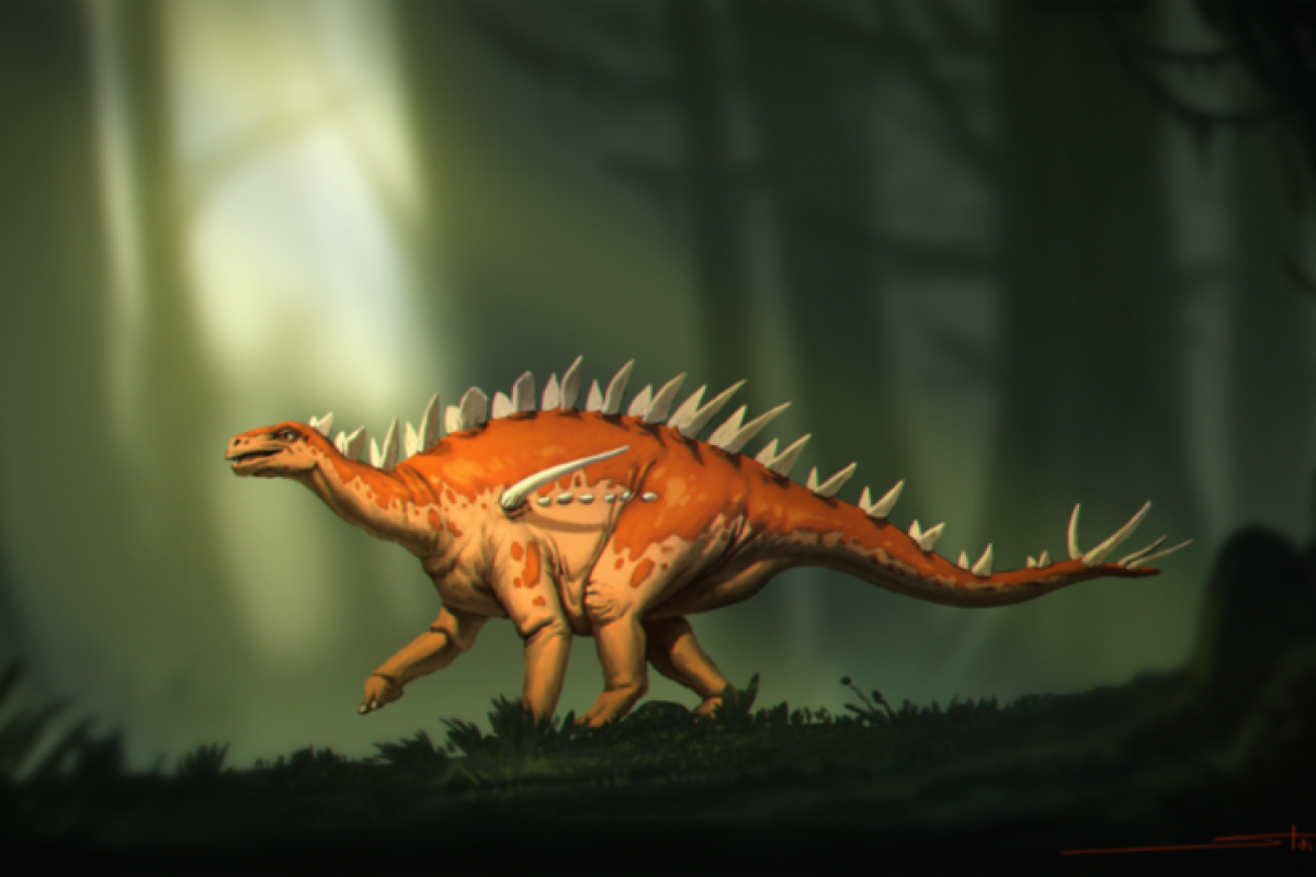 Ahli paleontologi identifikasi spesies stegosaurus baru di China
