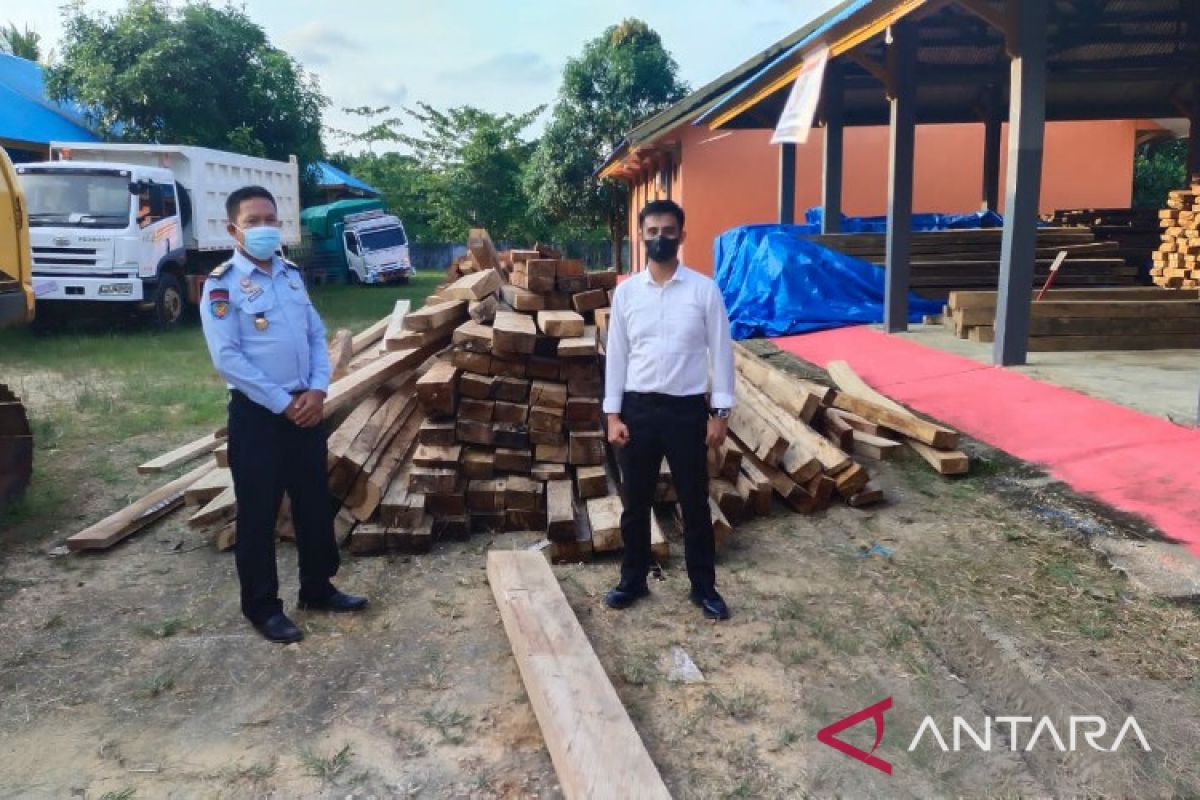 Polda Sulawesi Tenggara sita 50 kubik kayu diduga hasil pembalakan liar