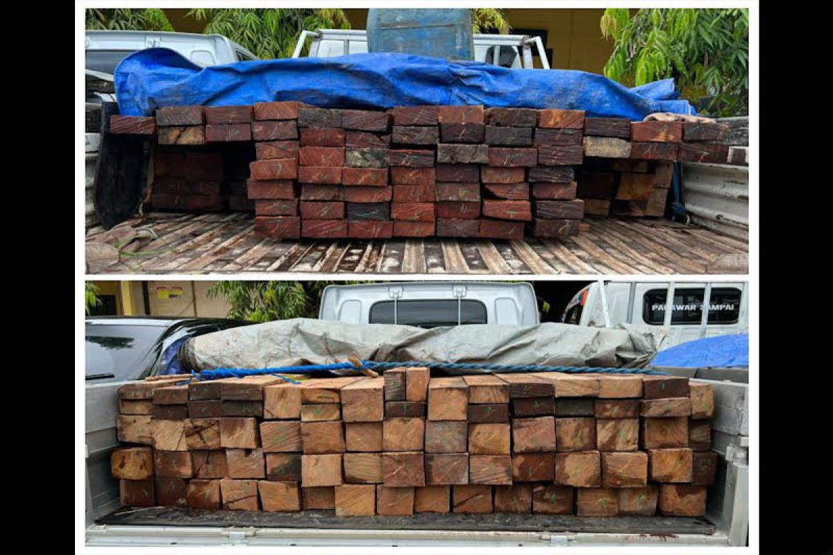 Polres Barito Utara tangkap tiga pelaku bawa 162  kayu ulin ilegal