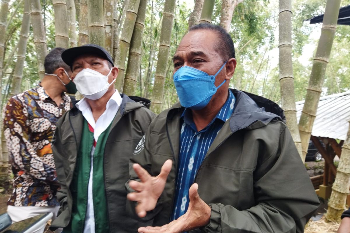 Pemkab Ngada manfaatkan potensi bambu pada 10 kecamatan