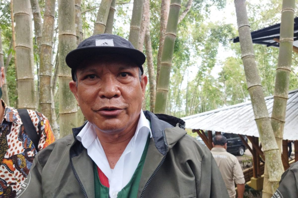 Pemkab Nagekeo siapkan 20 desa untuk kembangkan tanaman bambu