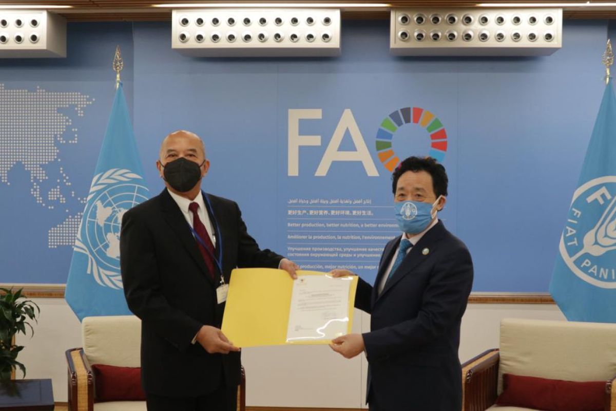 Indonesian Ambassador presents letter of credence to FAO DG