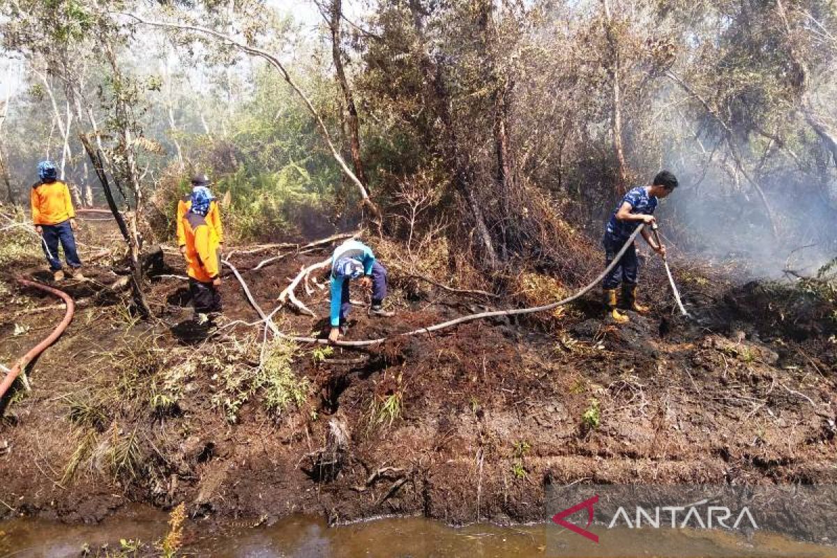 BPBD pastikan Aceh Barat masih rawan terjadi kebakaran hutan dan lahan