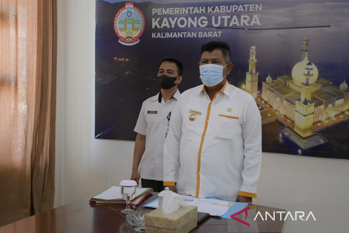 Pemkab Kayong Utara berusah perjuangkan tenaga honorer daerah