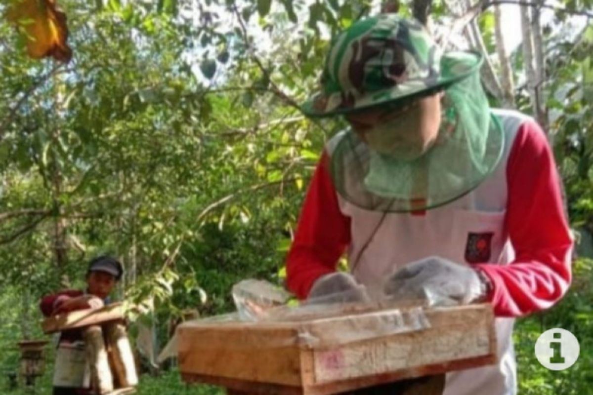 Gapoktan Desa Petangis di Kabupaten Paser Budidaya ternak lebah
