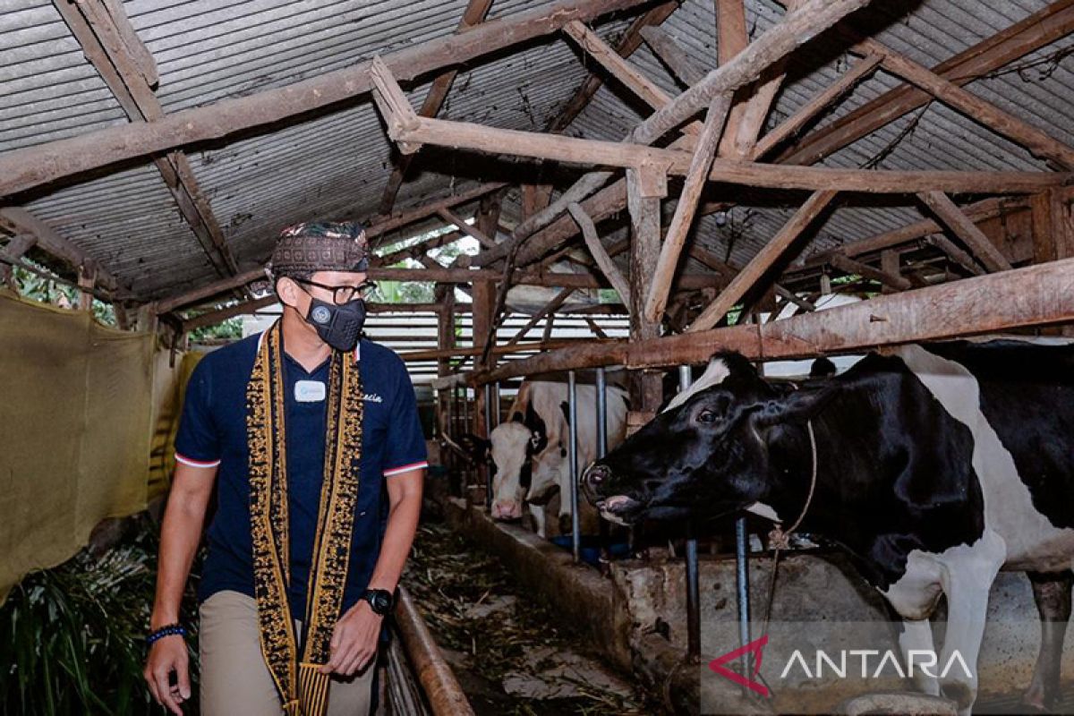 Daya tarik desa Cisaat, Subang, Jawa Barat