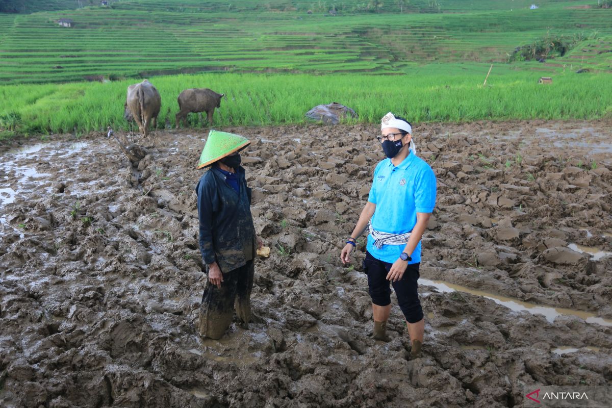 Sandiaga: Pertumbuhan desa wisata simbol dari kebangkitan ekonomi RI