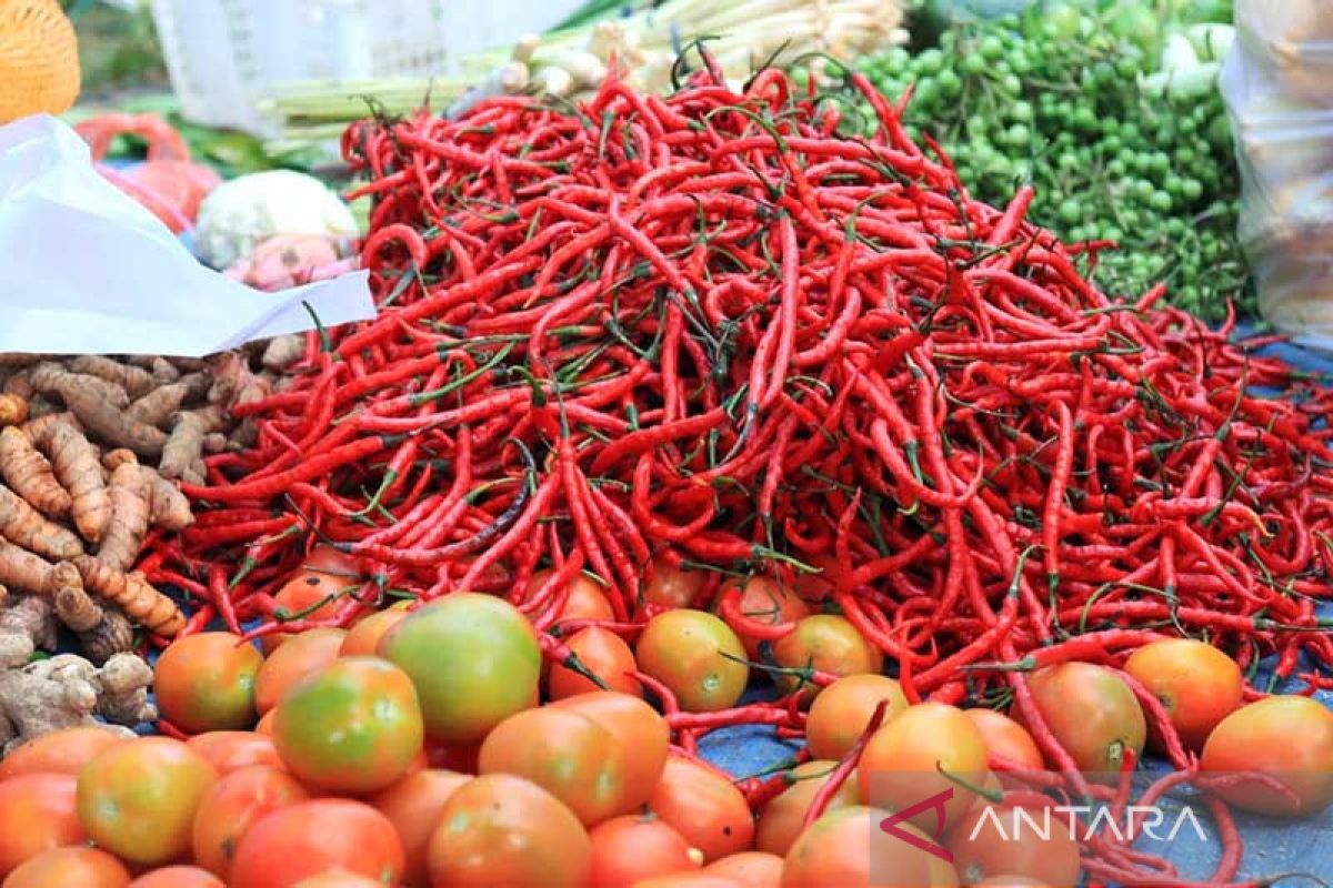 Harga cabai di Subulussalam Rp60 ribu per kilogram