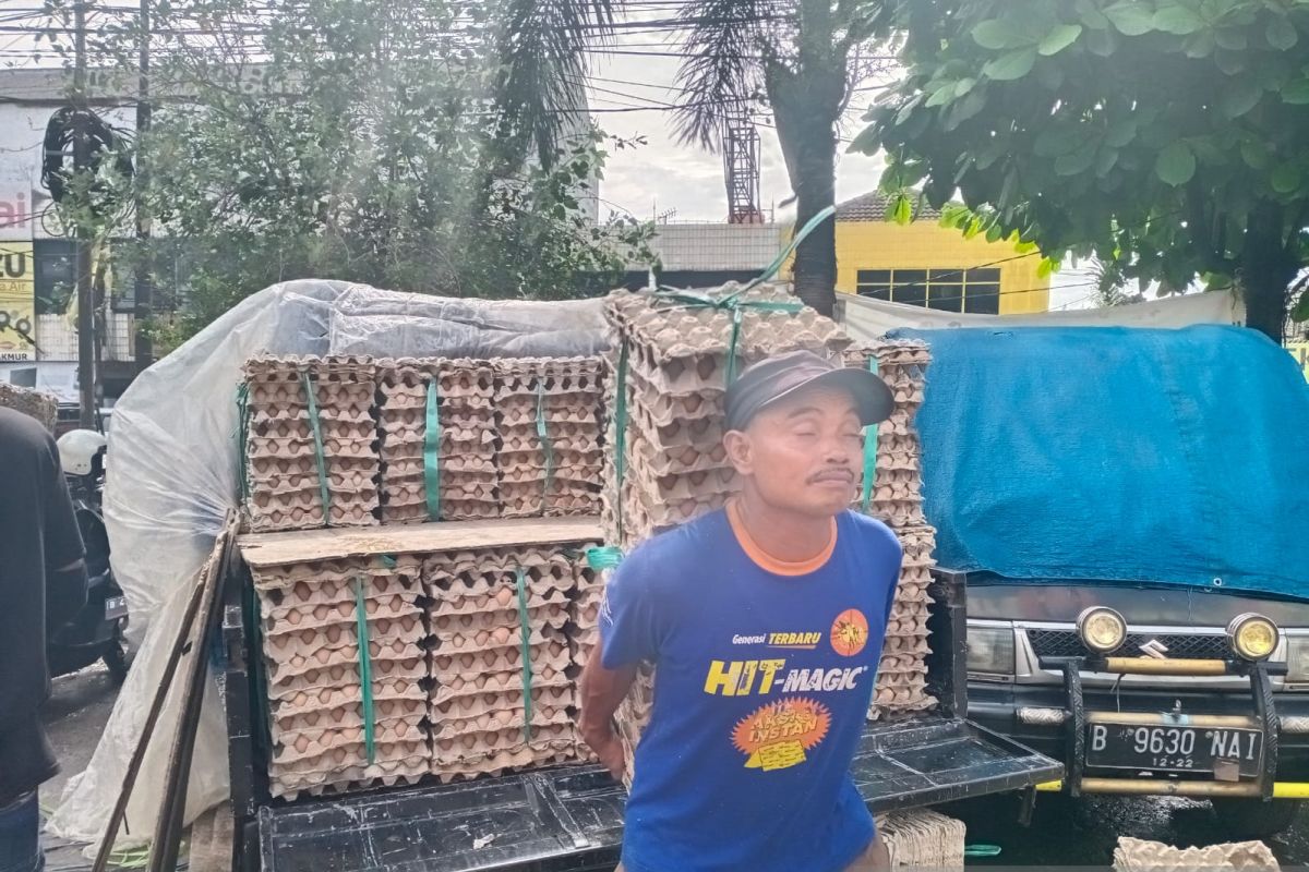 Harga Telur dan Ayam Potong di Tangsel mengalami kenaikan