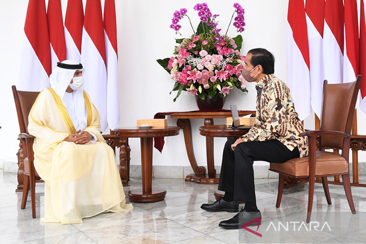 Presiden Jokowi terima kunjungan Delegasi Persatuan Emirat Arab