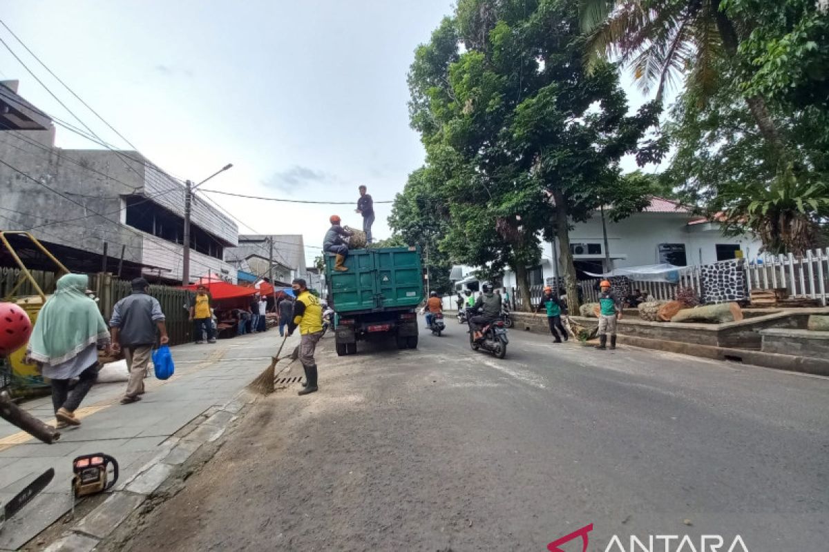 BPBD Kota Bogor: Penanganan pohon tumbang selesai, Jalan MA Salmun lancar