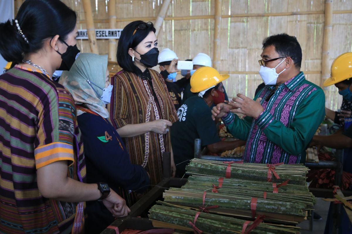 LPDB dukung pengembangan bisnis bambu di NTT melalui koperasi