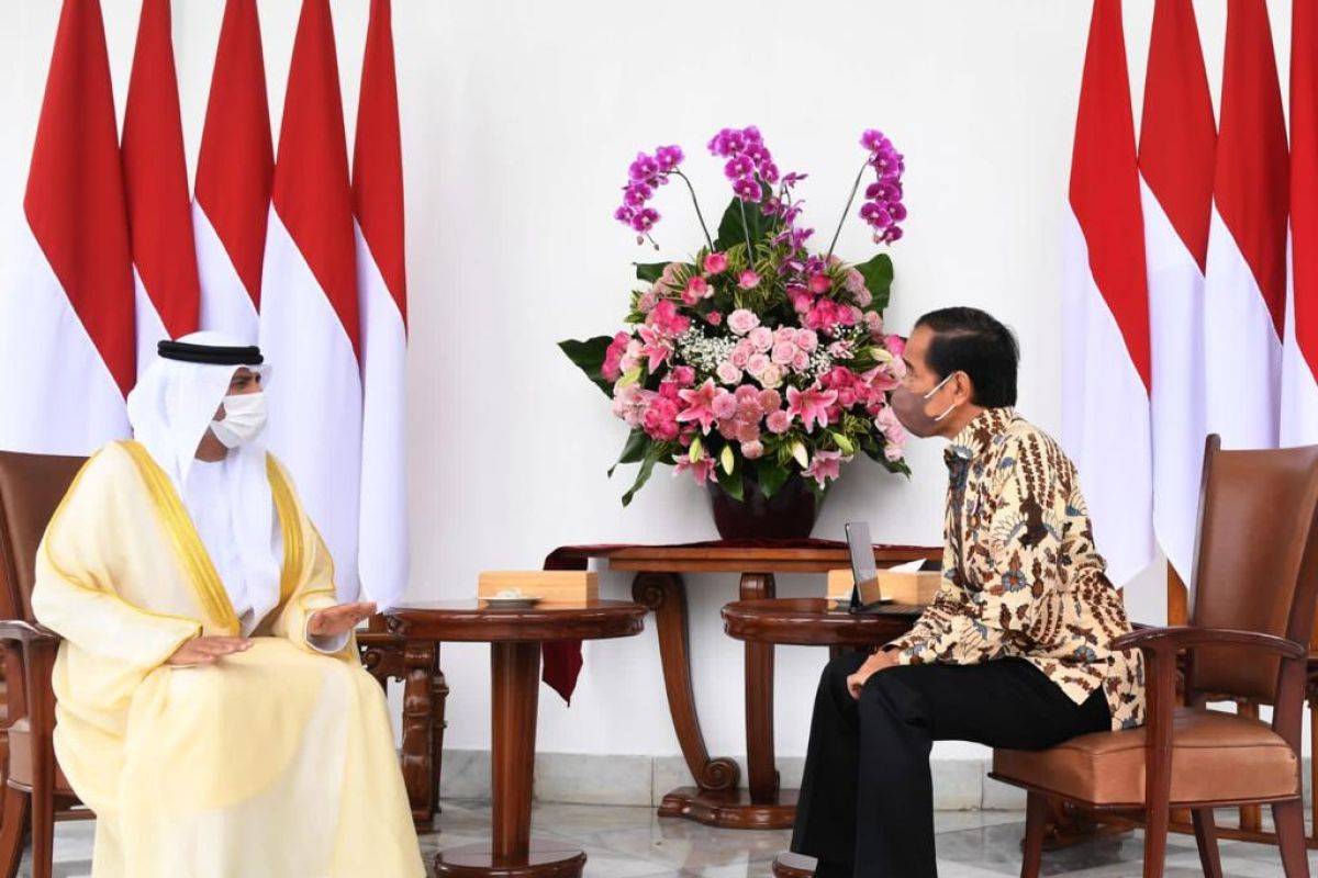 Presiden Joko Widodo terima kunjungan Delegasi Persatuan Emirat Arab