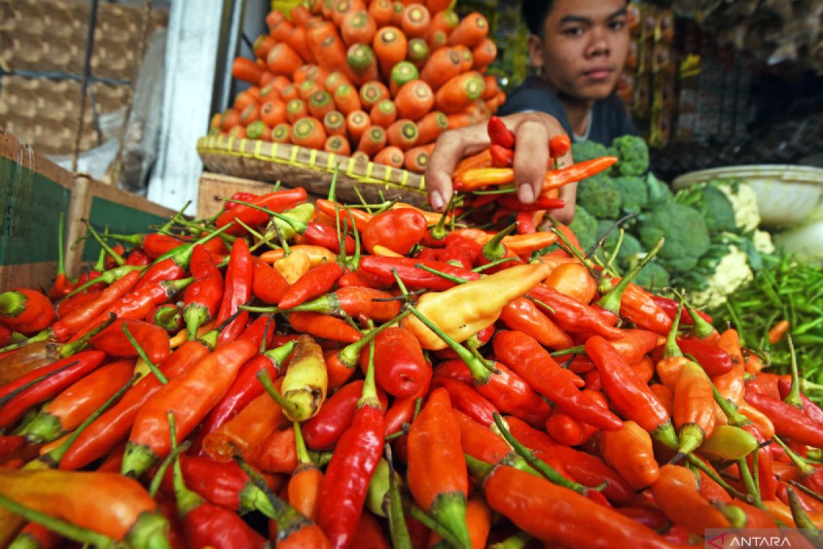 Kenaikan harga cabai rawit dan emas picu inflasi Kota Malang
