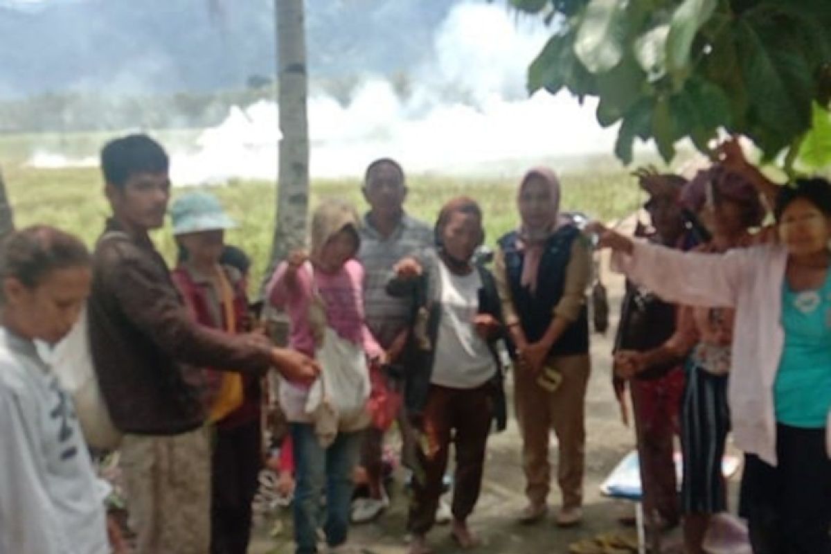 600 ekor lebih tikus ditangkap mati dari kegiatan perburuan di Batang Angkola