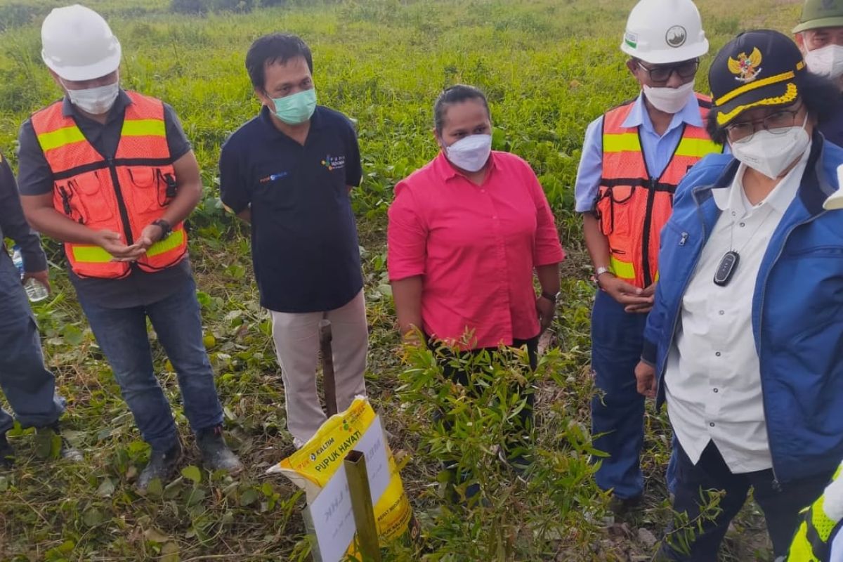 KLHK gandeng Pupuk Kaltim pulihkan lahan bekas tambang di Kaltim