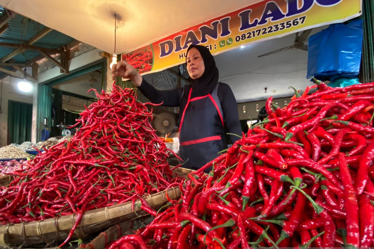 Harga cabai merah masih tinggi, jual beli pedagang di Payakumbuh menurun