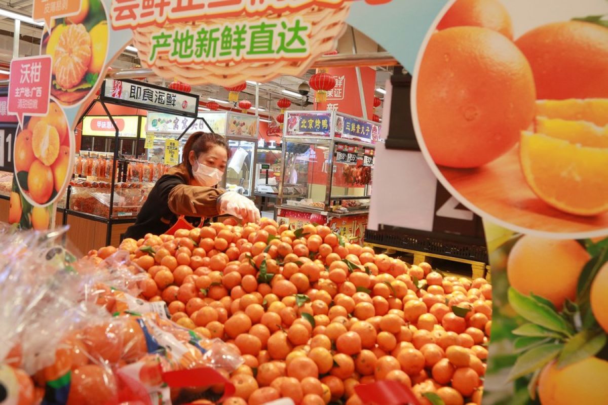Indeks harga konsumen China naik 0,9 persen pada Februari 2022
