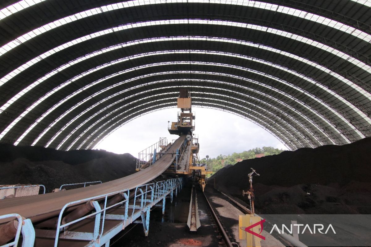 PLN optimizes coal waste to build road in South Kalimantan