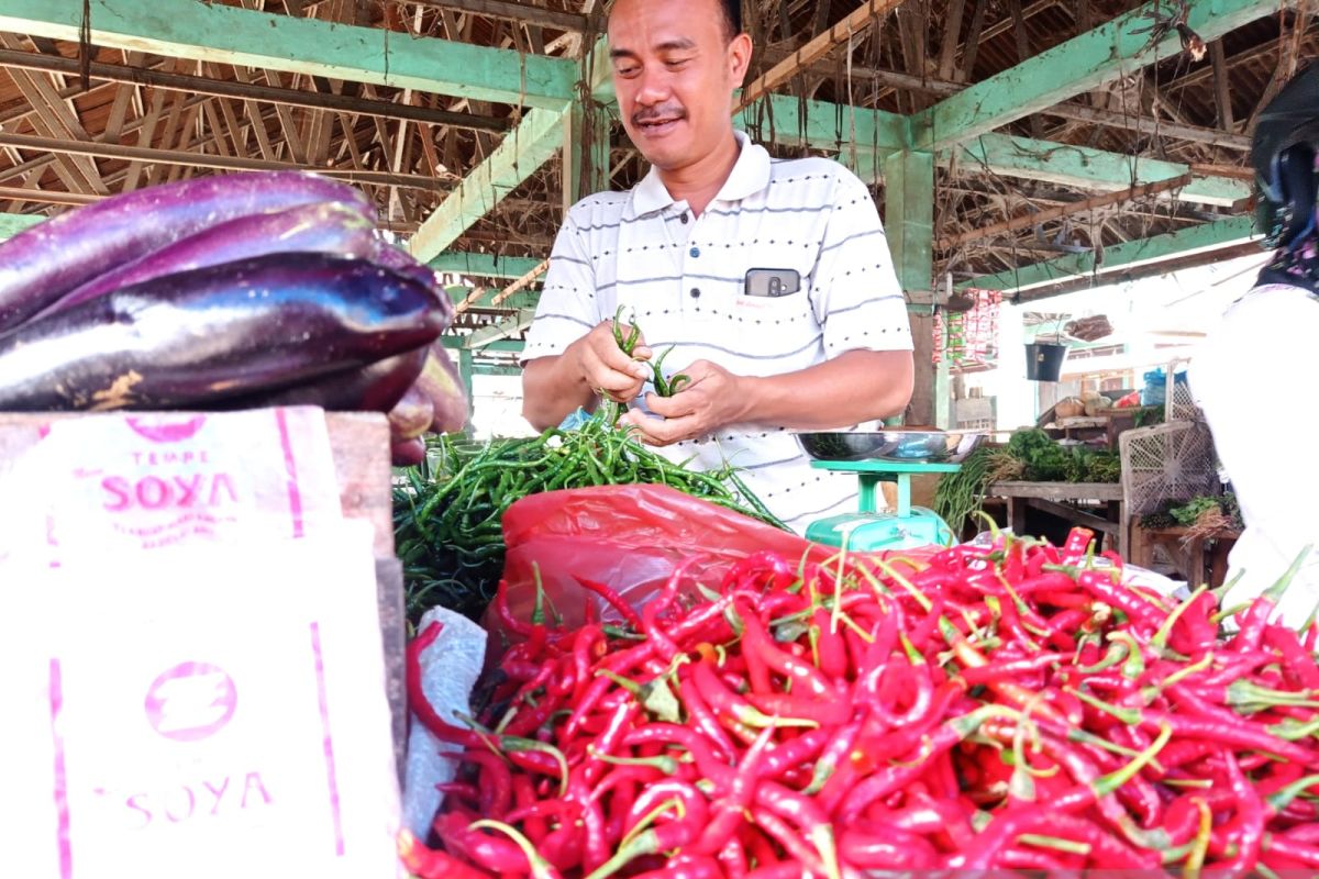 Harga cabai merah melejit Rp60 ribu/kg di Aceh Tamiang