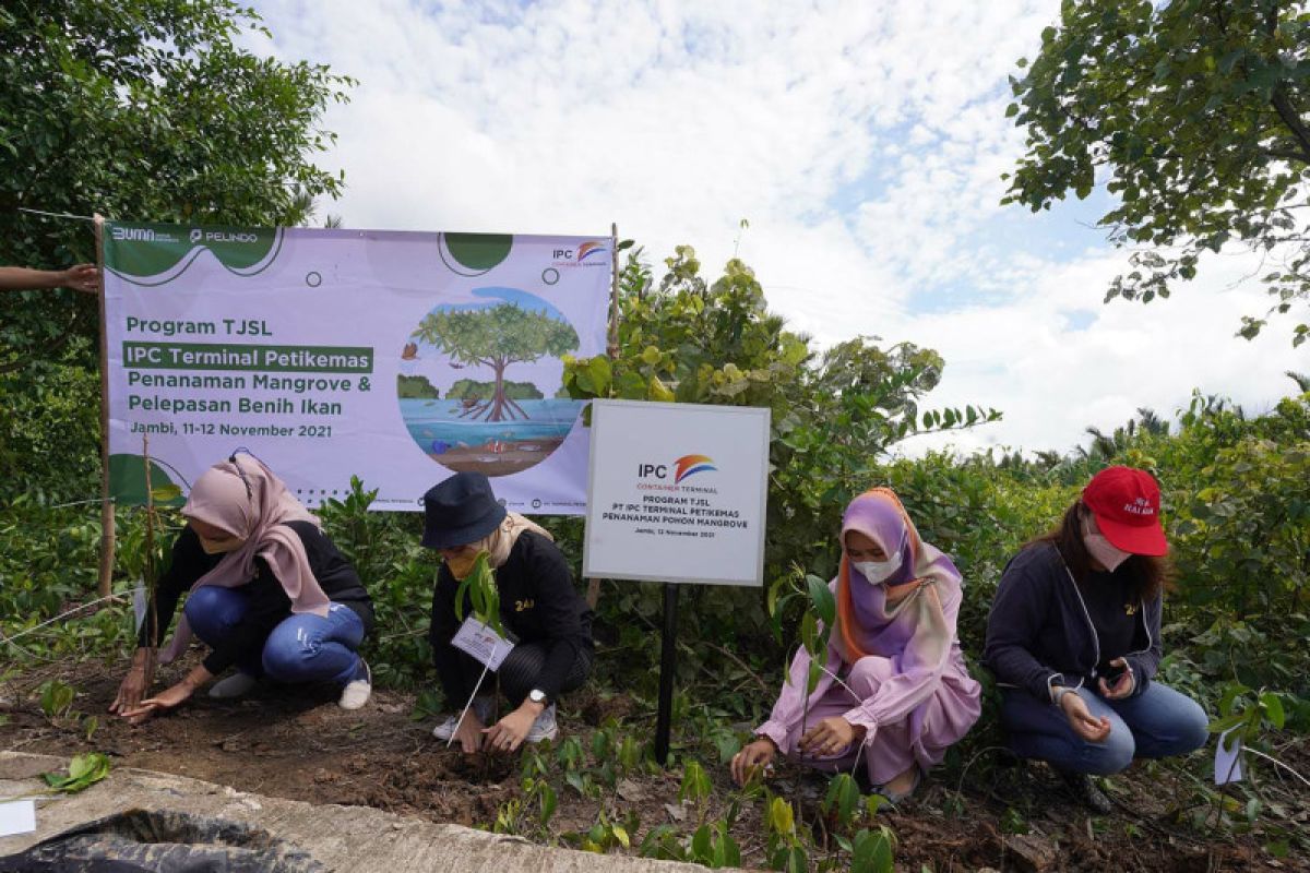 Pelindo Terminal Petikemas raih penghargaan ICEA 2022