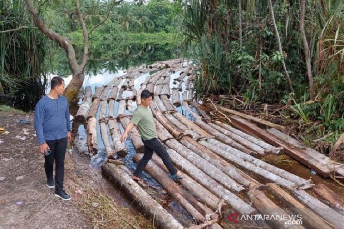 Meranti Islands Police arrest two illegal loggers