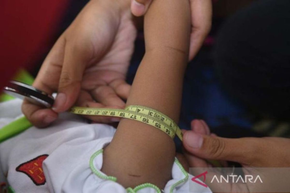 Ratusan ribu keluarga Pekanbaru berisiko timbulkan stunting, ini pencegahannya